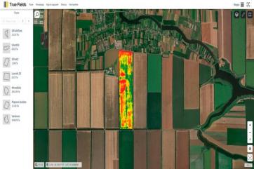 В России появилось отечественное ПО для повышения урожайности культур